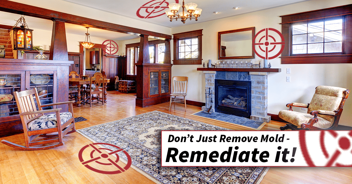 Mold Remediation and Mold Removal
