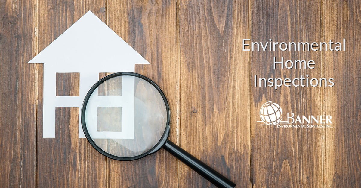 Environmental Home Inspection