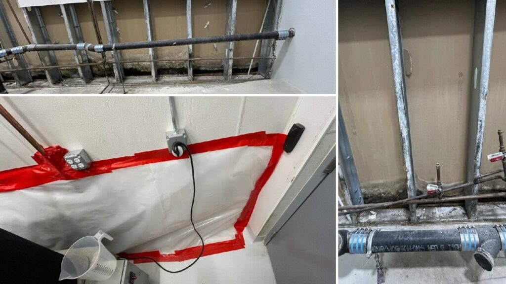 mold remediation new bedford