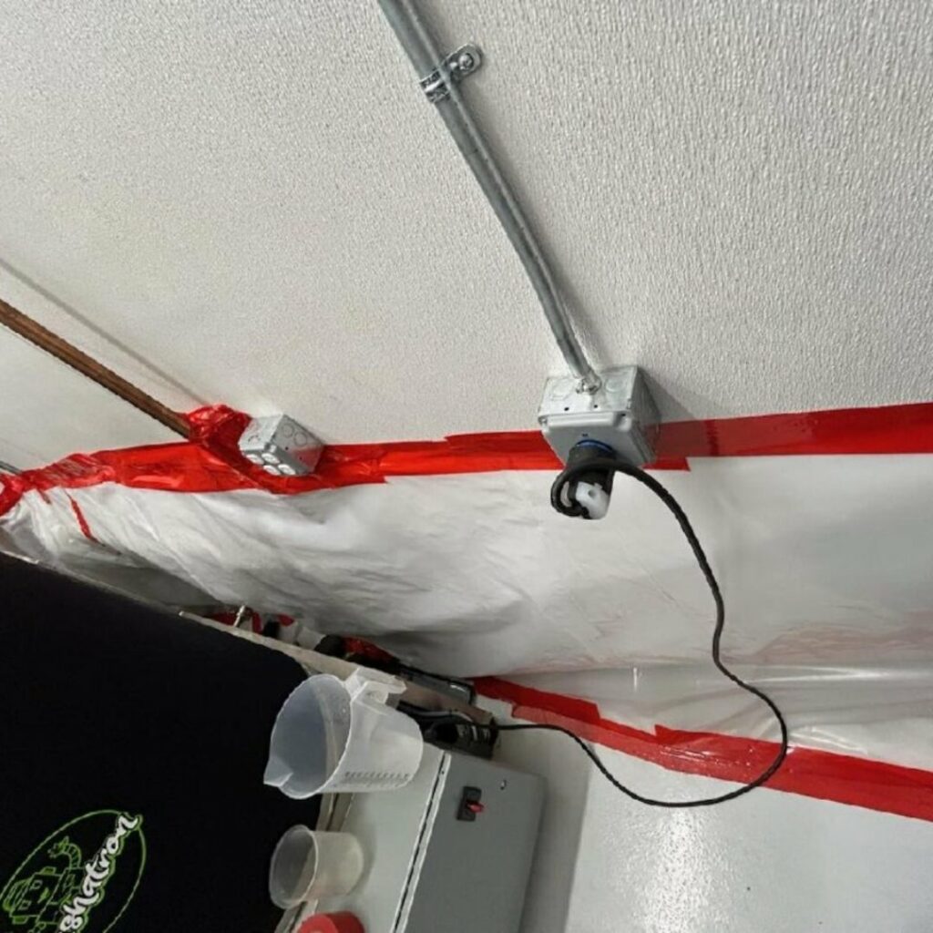 mold remediation new bedford ma