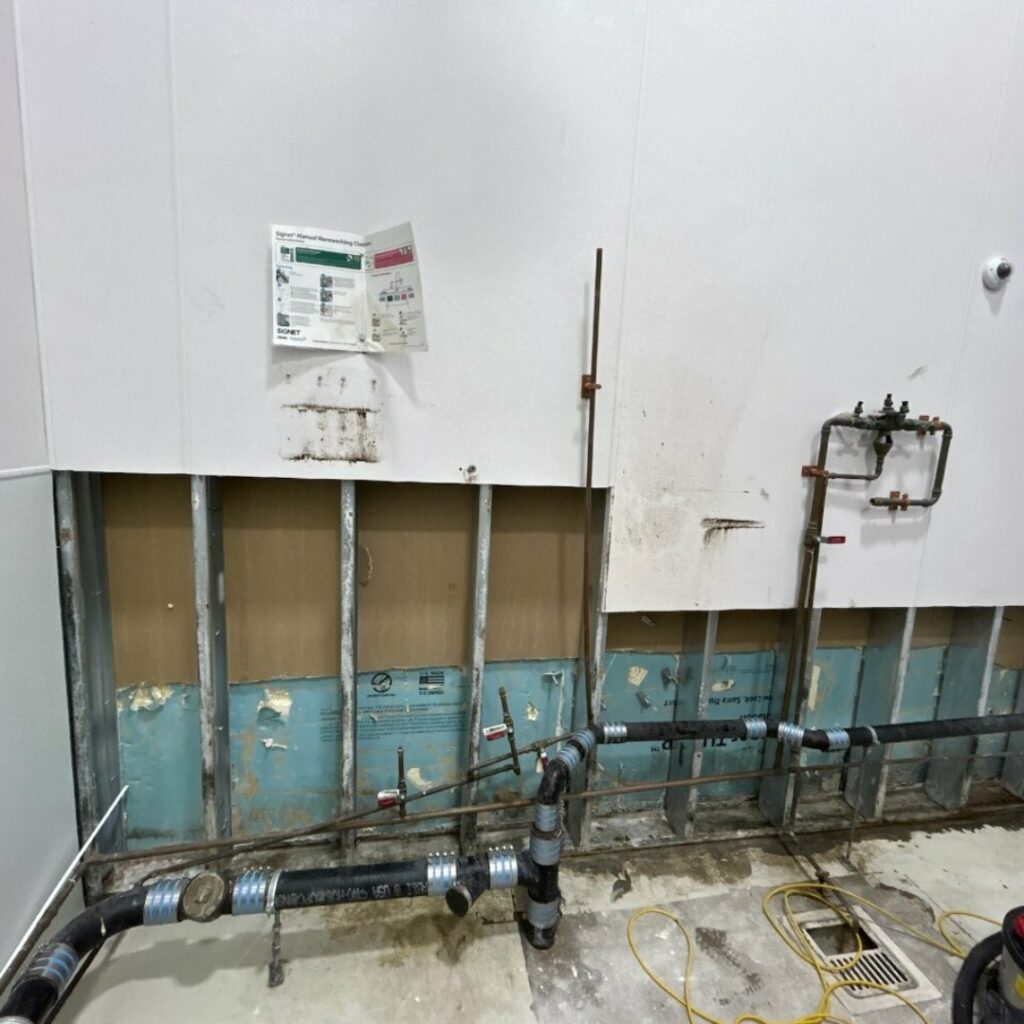 mold remediation new bedford ma