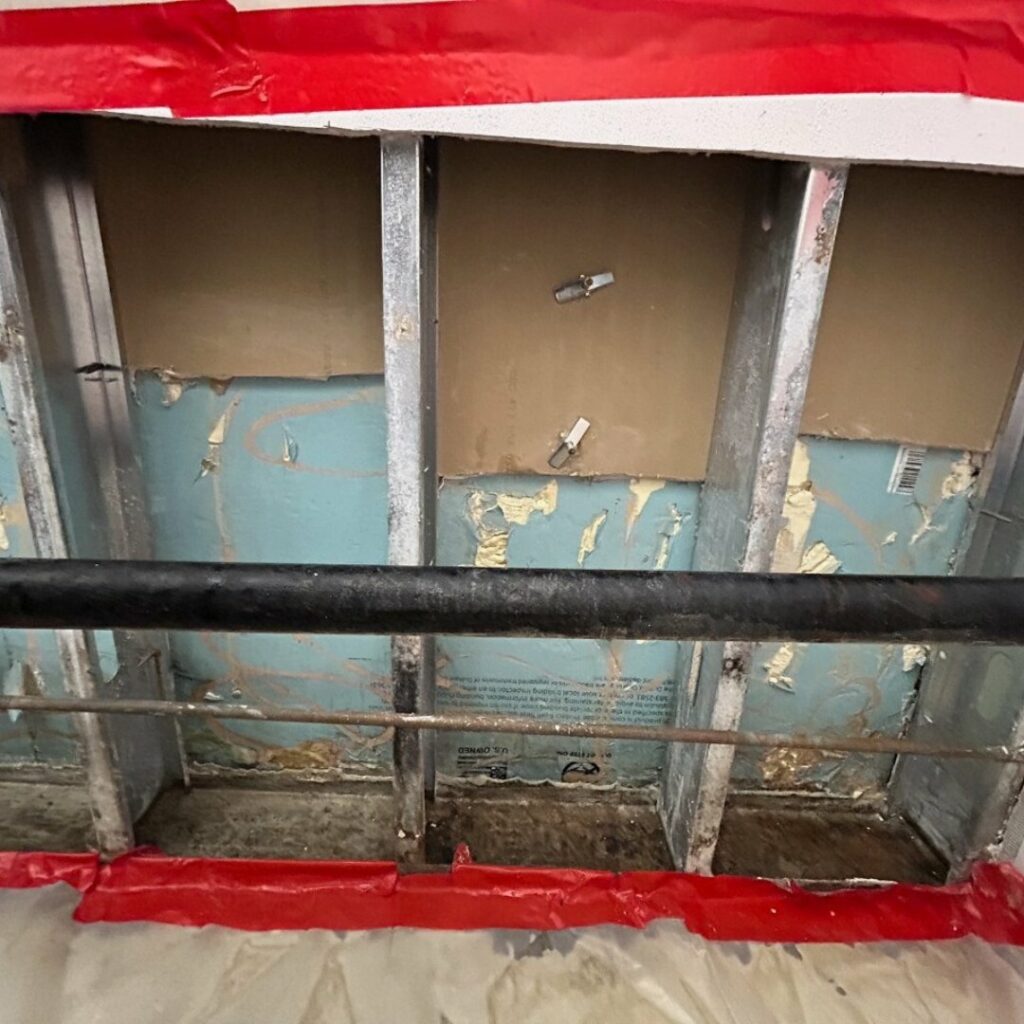 mold remediation new bedford ma