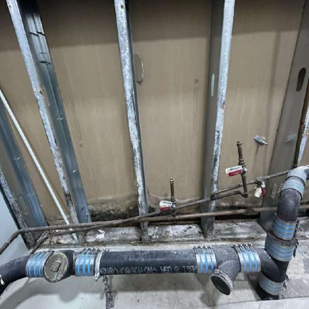 mold remediation new bedford ma