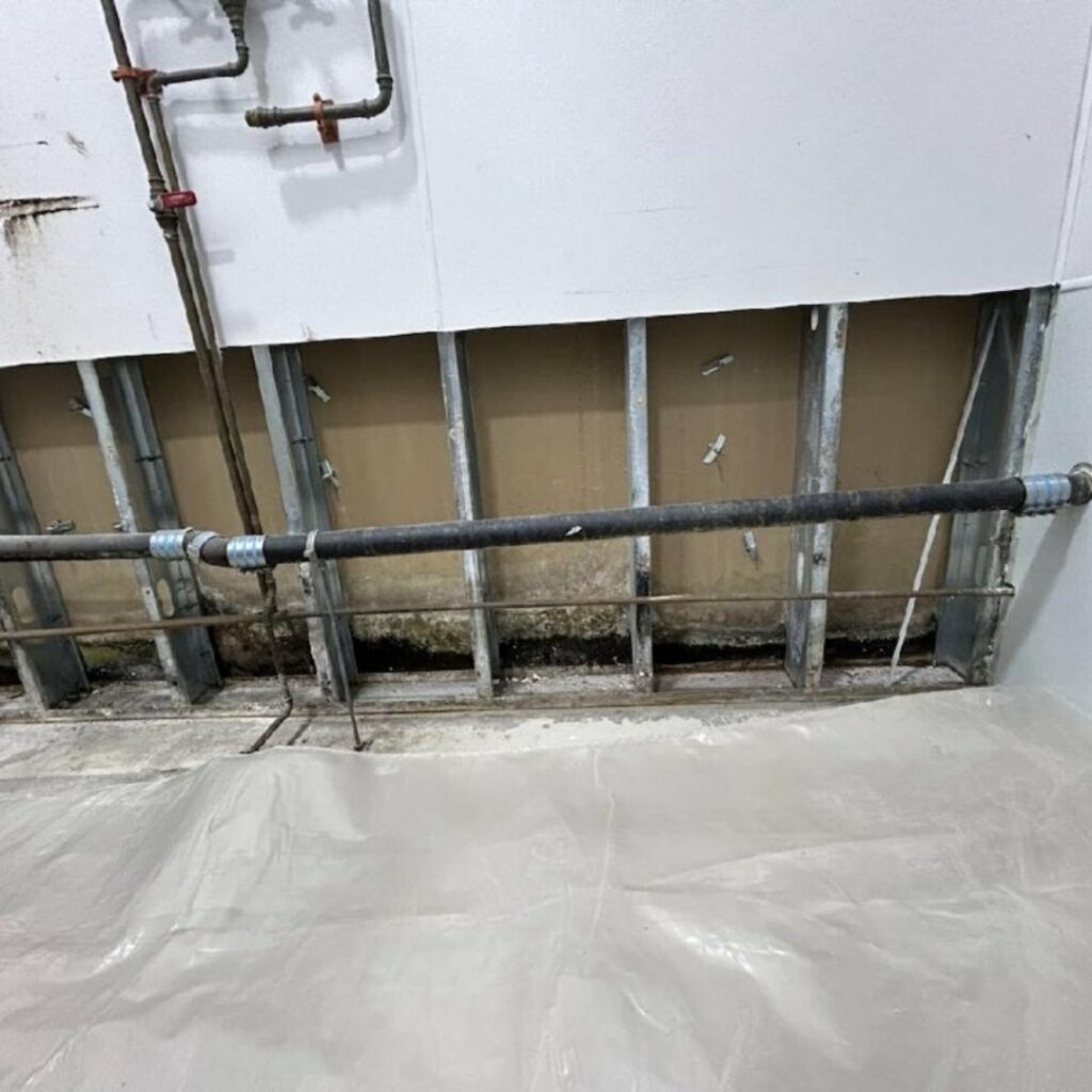 mold remediation new bedford ma