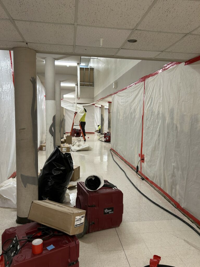 Mastic Removal