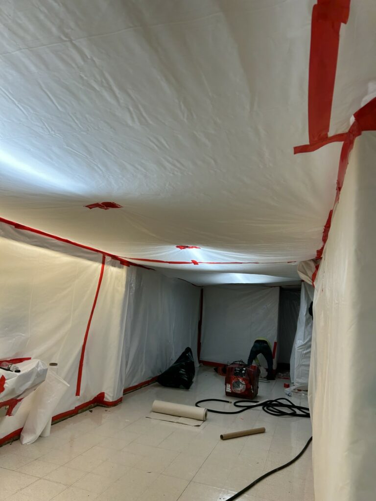 Mastic Removal