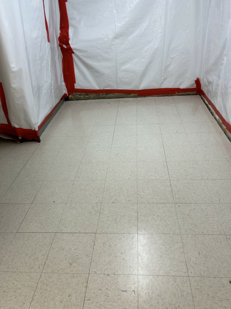 Mastic Removal