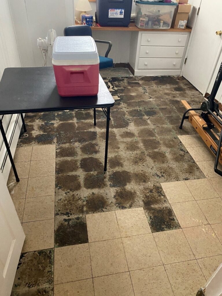 Asbestos Abatement, Bellingham, MA