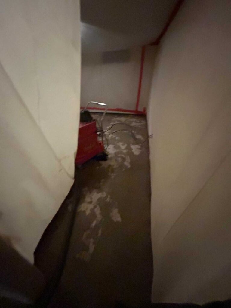 Asbestos Abatement, Bellingham, MA