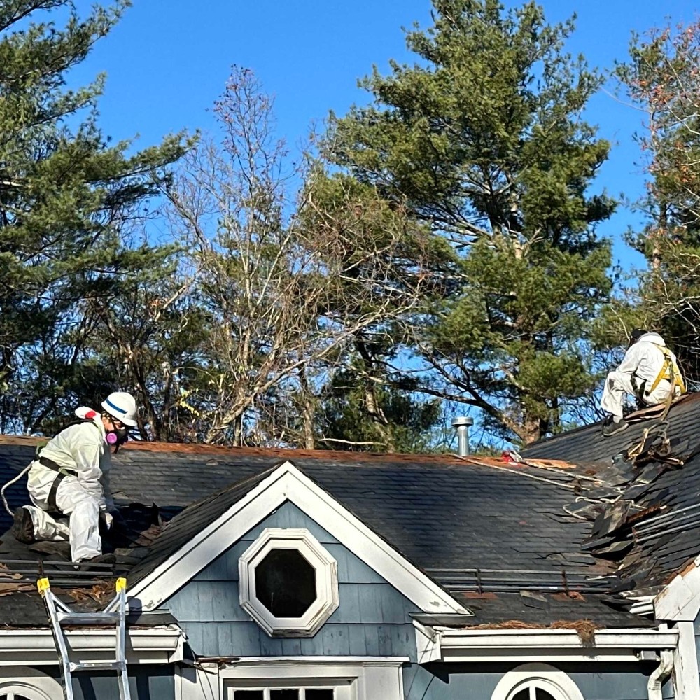 canton ma asbestos and vermiculite removal