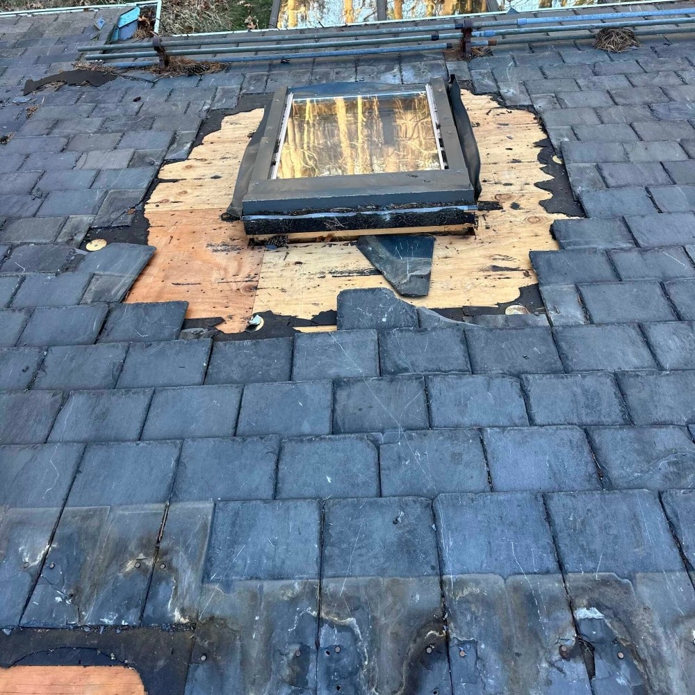 canton ma asbestos and vermiculite removal