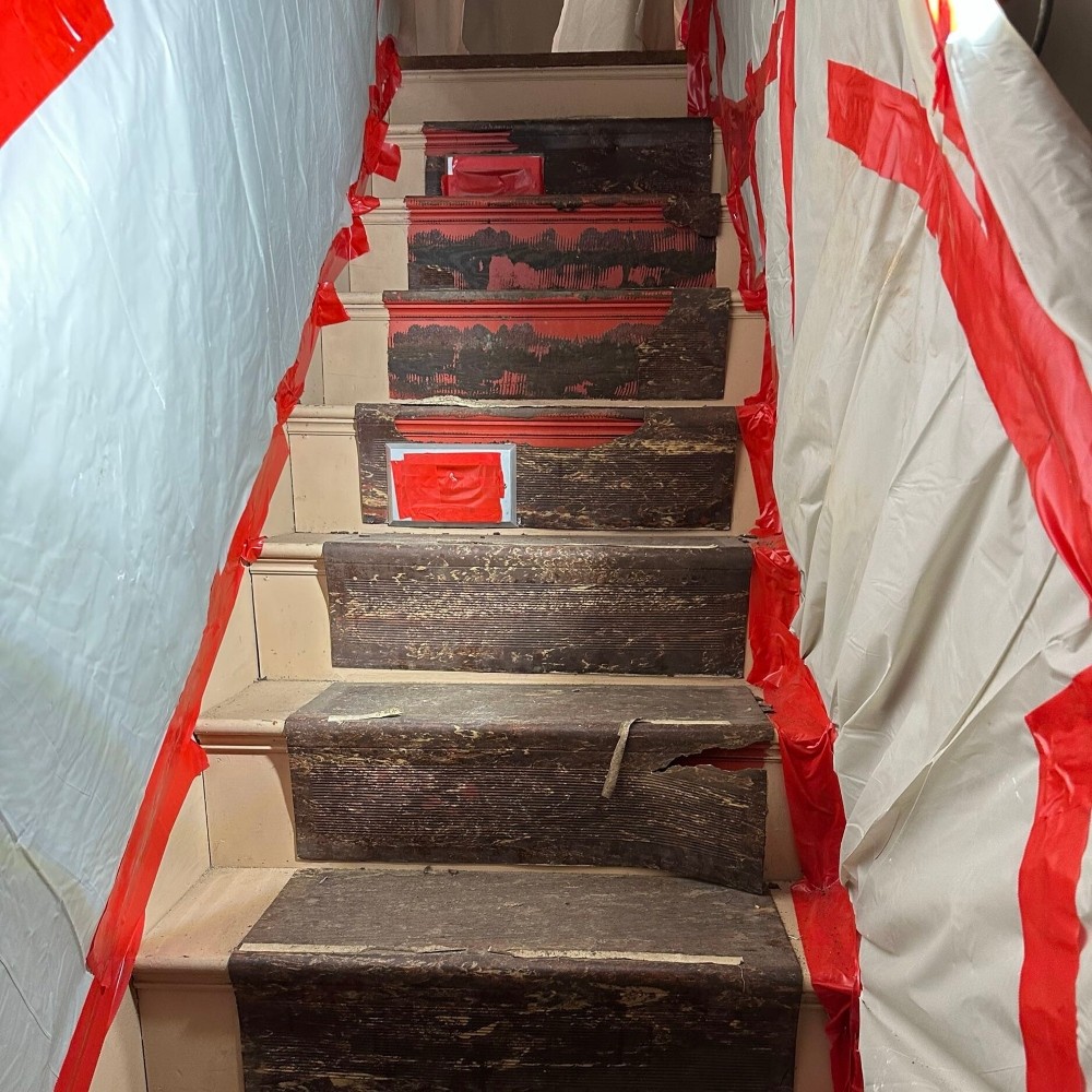canton ma asbestos and vermiculite removal