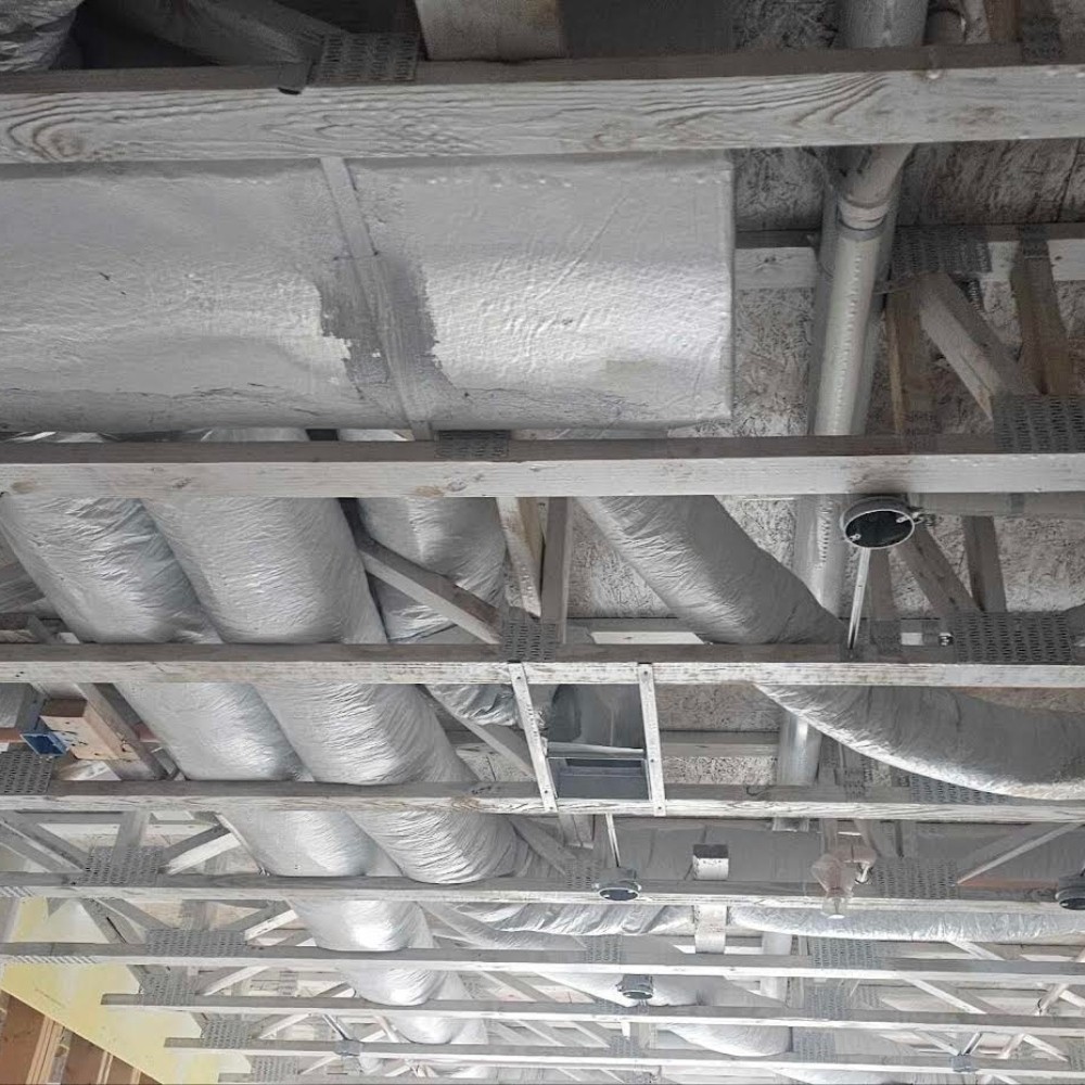 Comprehensive Asbestos Abatement and Mold Remediation in Eastern Massachusetts