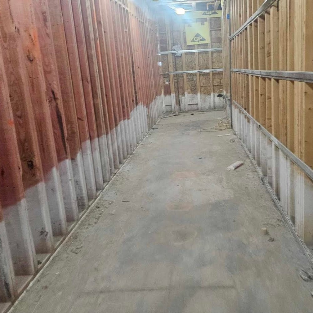 Comprehensive Asbestos Abatement and Mold Remediation in Eastern Massachusetts