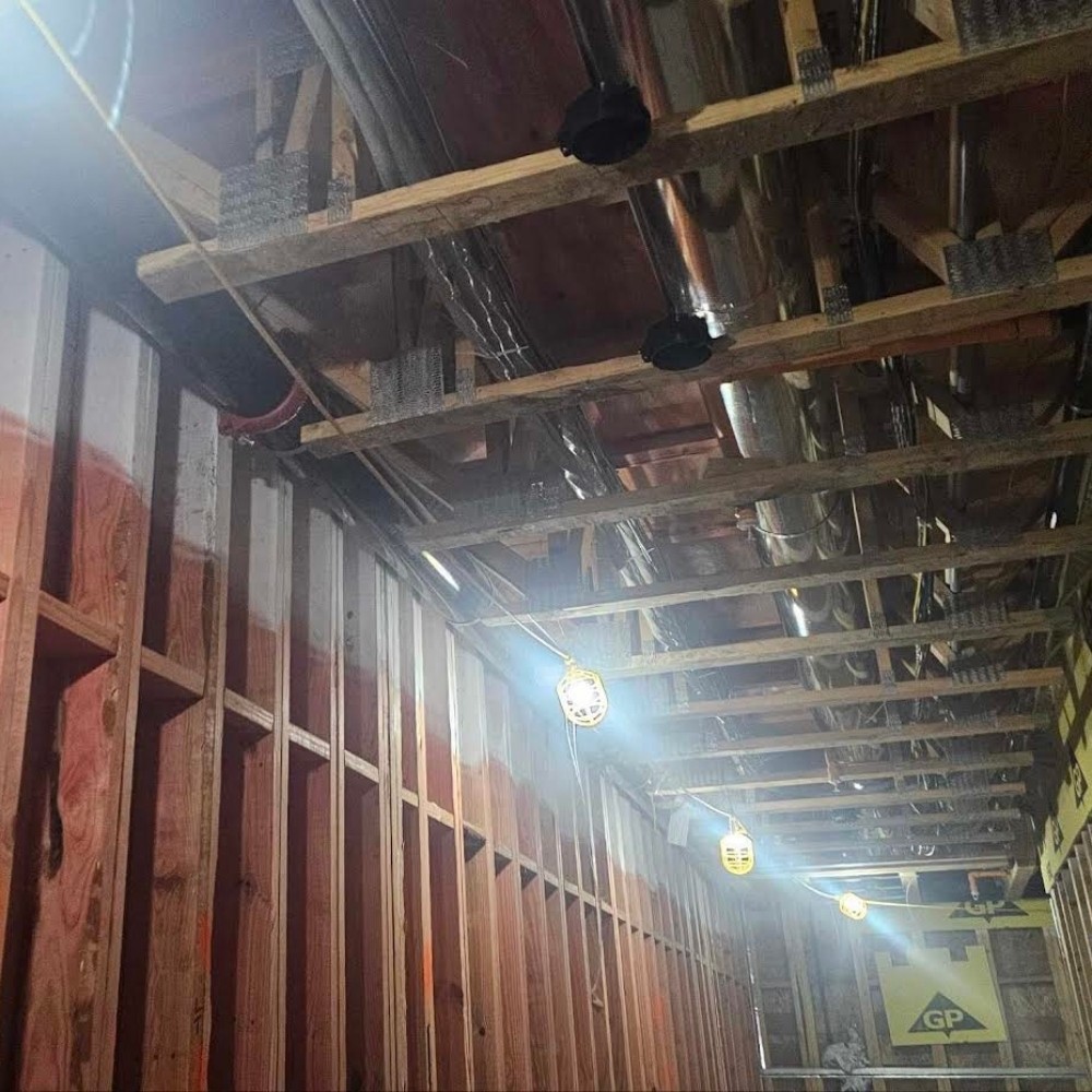 Comprehensive Asbestos Abatement and Mold Remediation in Eastern Massachusetts