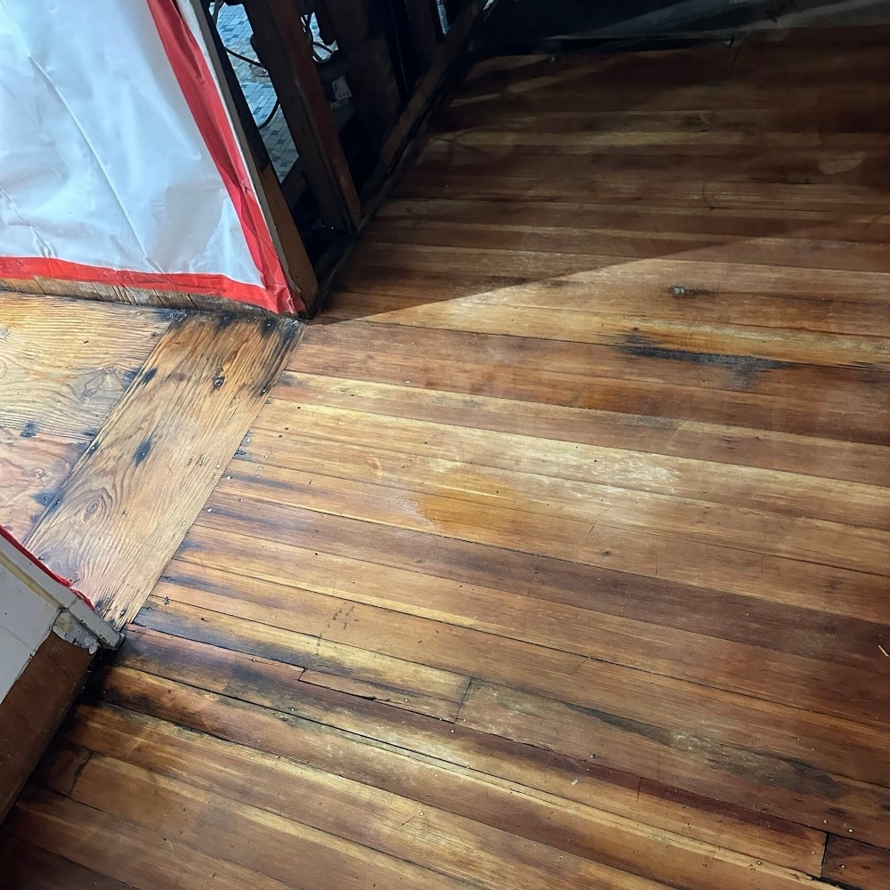 Professional Asbestos Abatement in Brookline, MA