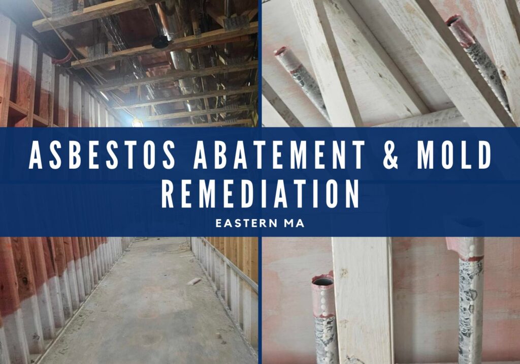 Mold Remediation and Asbestos Abatement
