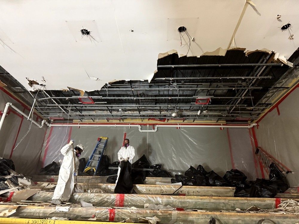 roger williams university asbestos abatement - bristol, RI