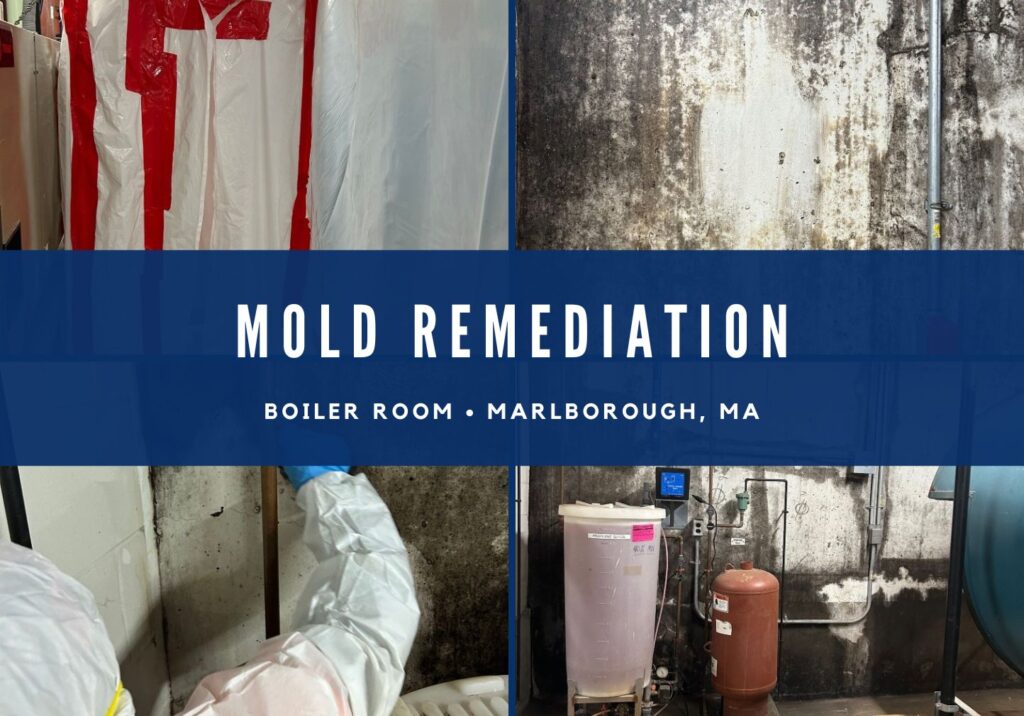 Mold remediation, Mold Inspection & Testing, Mold Removal & Abatement in Marlborough, MA