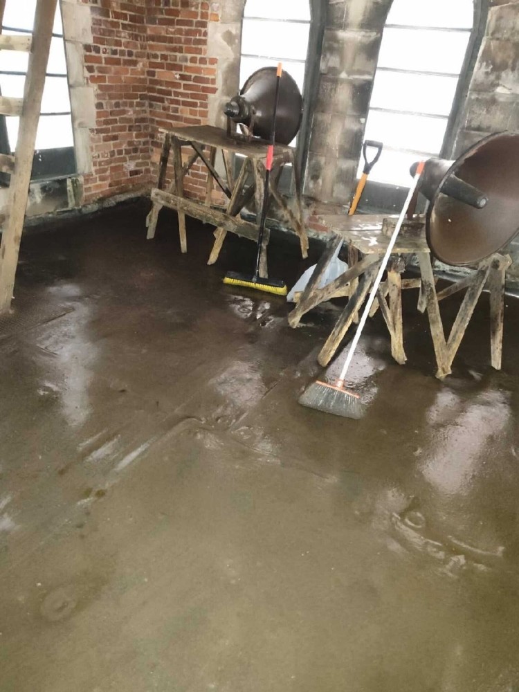 Commercial Cleanup of Bird Guano at St. Peter’s Episcopal Church, Cambridge MA