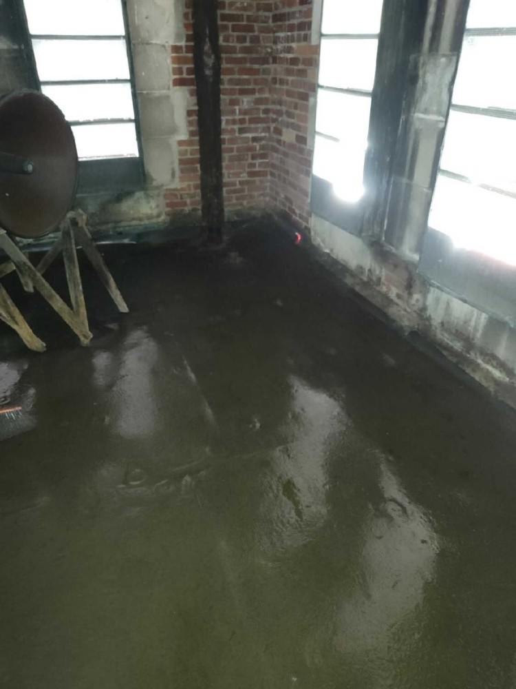 Commercial Cleanup of Bird Guano at St. Peter’s Episcopal Church, Cambridge MA