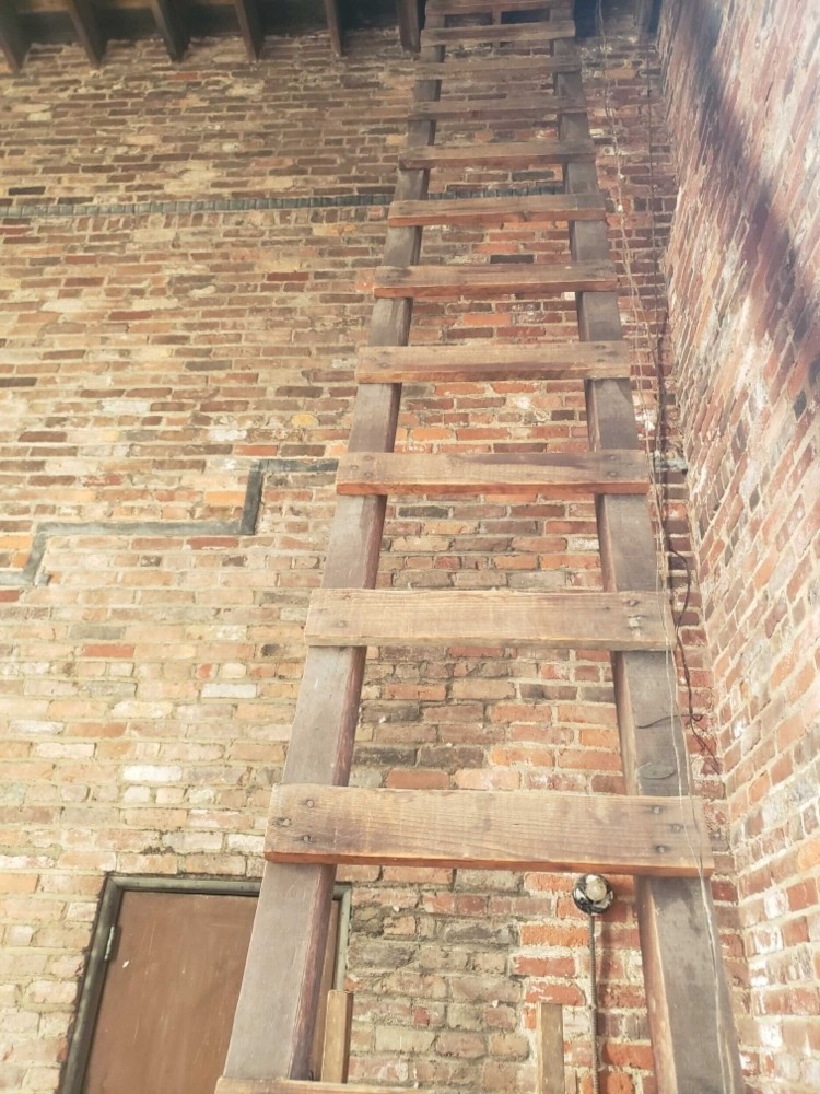 Commercial Cleanup of Bird Guano at St. Peter’s Episcopal Church, Cambridge MA