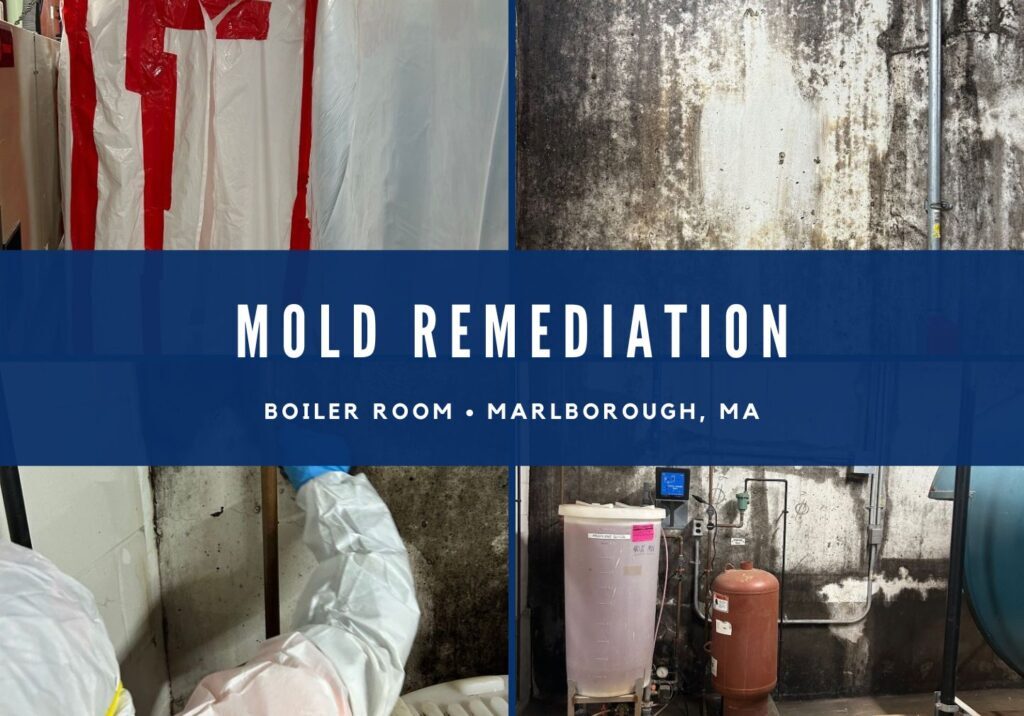 Mold remediation, Mold Inspection & Testing, Mold Removal & Abatement in Marlborough, MA