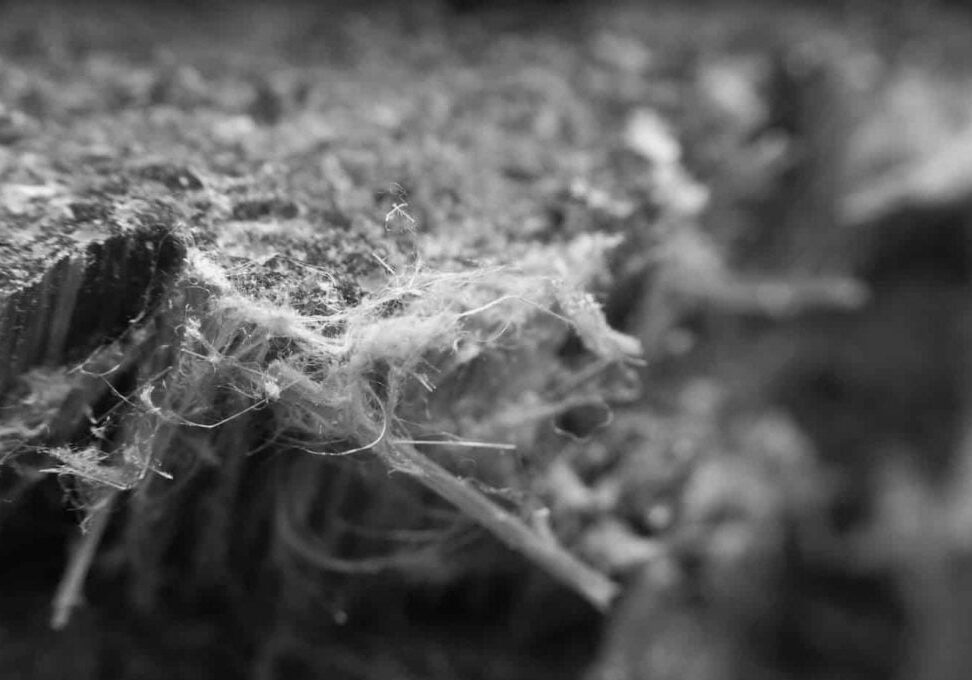 asbestos abatement removal services in massachusetts and rhode island