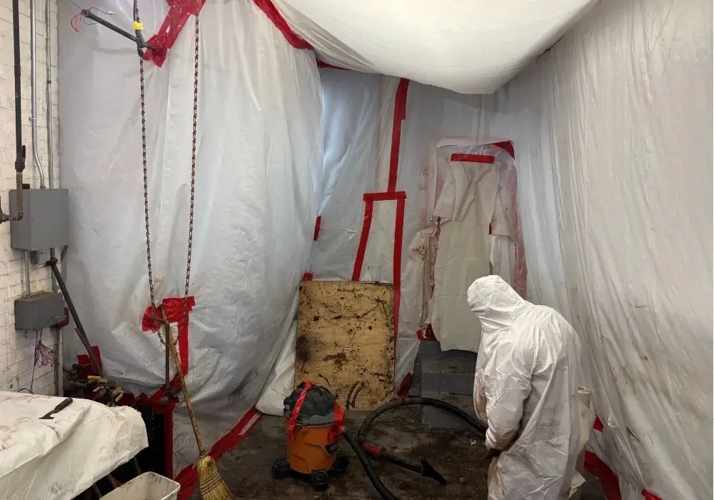 what is asbestos abatement