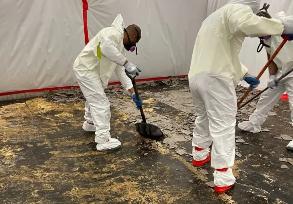 asbestos removal contractor