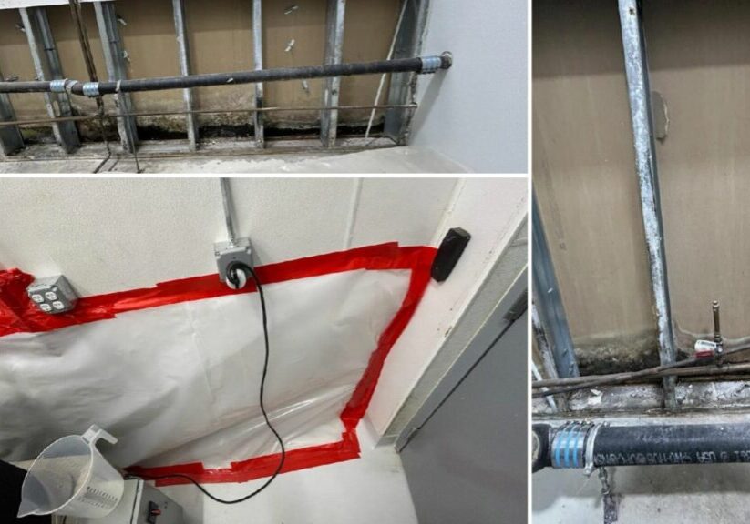 mold remediation new bedford