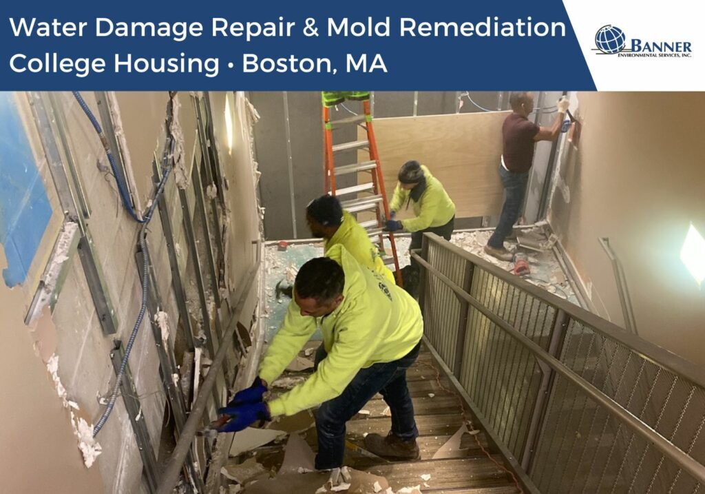 mold remediation, removal and mitigation. water damage repair. college housing unit in boston ma